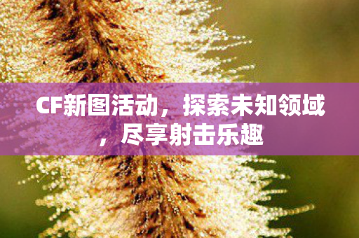 CF新图活动，探索未知领域，尽享射击乐趣