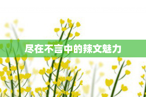 尽在不言中的辣文魅力