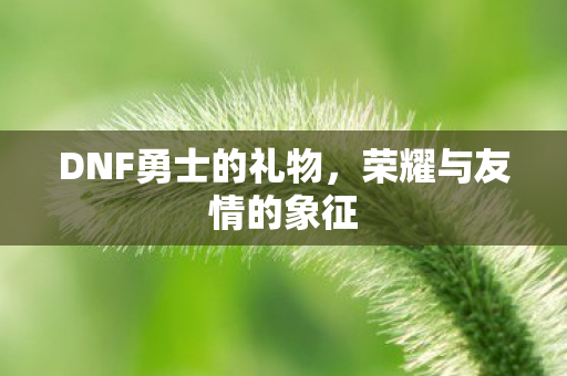 DNF勇士的礼物，荣耀与友情的象征