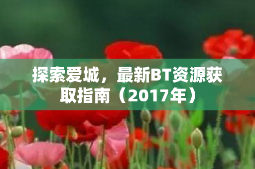 探索爱城，最新BT资源获取指南（2017年）