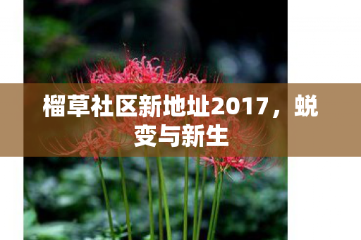 榴草社区新地址2017，蜕变与新生