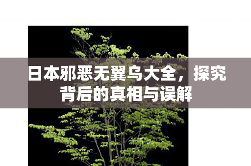 日本邪恶无翼乌大全，探究背后的真相与误解