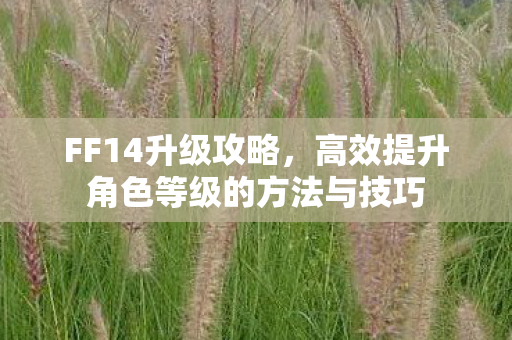 FF14升级攻略，高效提升角色等级的方法与技巧