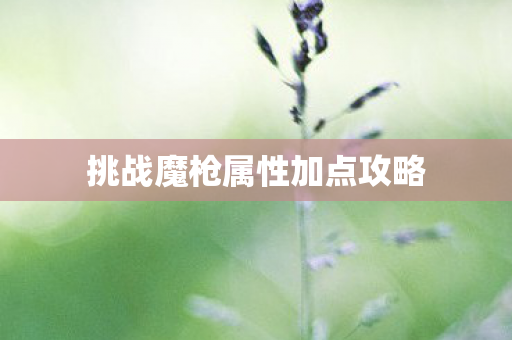 挑战魔枪属性加点攻略