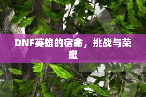 DNF英雄的宿命，挑战与荣耀