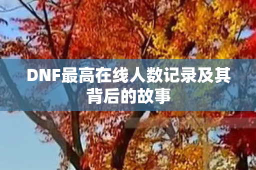 DNF最高在线人数记录及其背后的故事