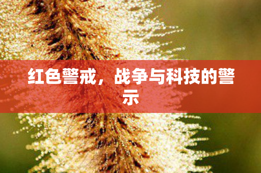 红色警戒，战争与科技的警示