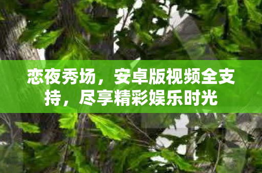 恋夜秀场，安卓版视频全支持，尽享精彩娱乐时光