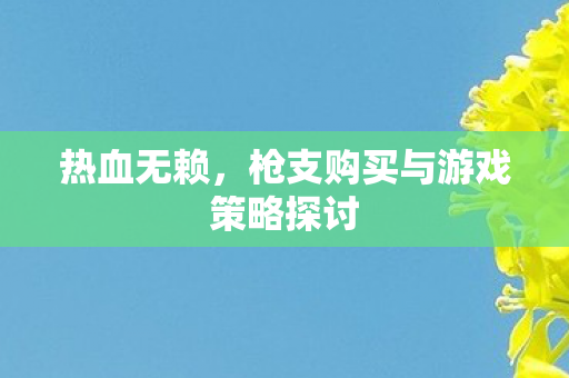 热血无赖,枪支购买与游戏策略探讨 热血无赖,枪支购买与游戏策略探讨