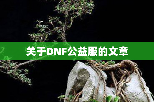 关于DNF公益服的文章