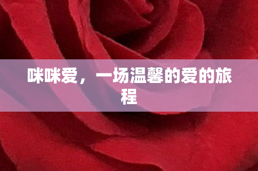咪咪爱，一场温馨的爱的旅程