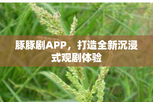 豚豚剧APP，打造全新沉浸式观剧体验