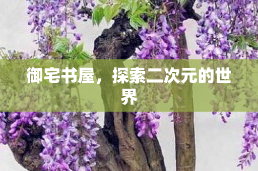 御宅书屋，探索二次元的世界