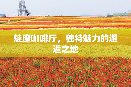 魅魔咖啡厅，独特魅力的邂逅之地