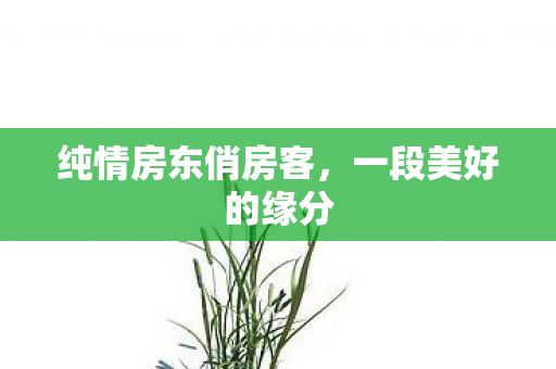 纯情房东俏房客，一段美好的缘分