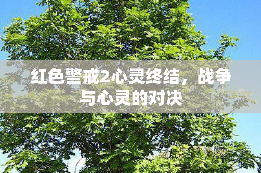 红色警戒2心灵终结，战争与心灵的对决