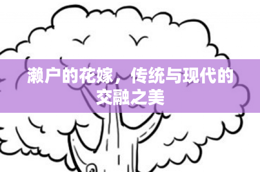 濑户的花嫁，传统与现代的交融之美