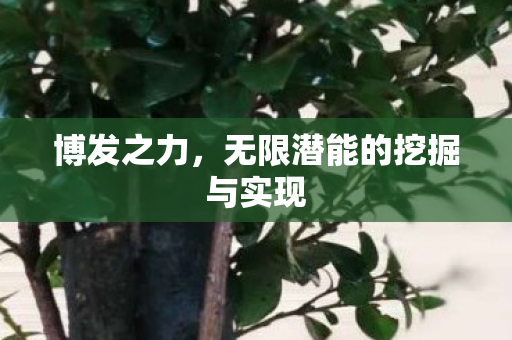博发之力，无限潜能的挖掘与实现