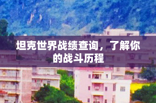 坦克世界战绩查询，了解你的战斗历程