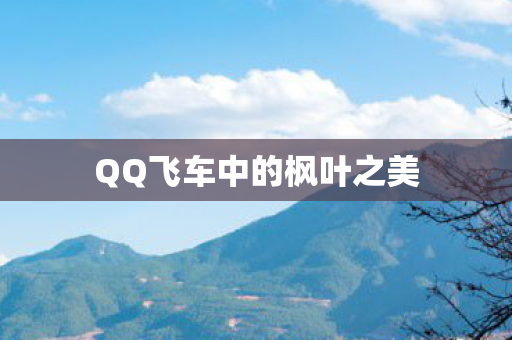QQ飞车中的枫叶之美