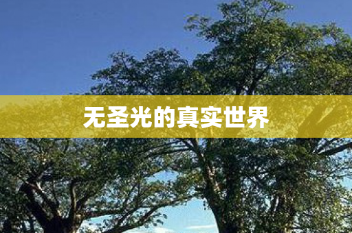 无圣光的真实世界