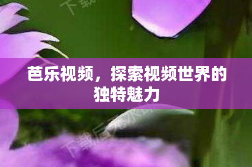 芭乐视频，探索视频世界的独特魅力