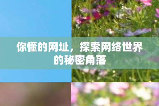 你懂的网址，探索网络世界的秘密角落