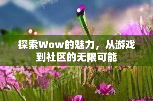 探索Wow的魅力，从游戏到社区的无限可能