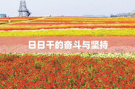 日日干的奋斗与坚持