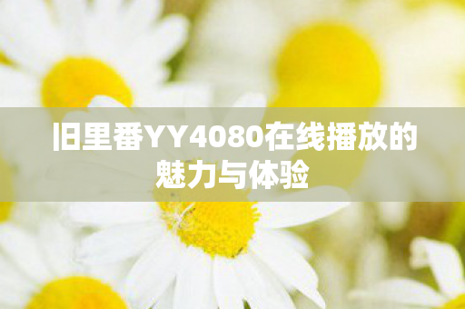旧里番YY4080在线播放的魅力与体验