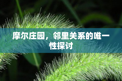 摩尔庄园，邻里关系的唯一性探讨