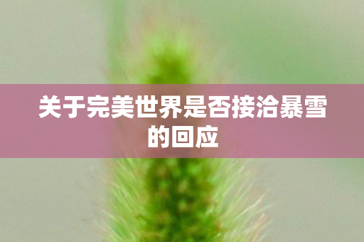 关于完美世界是否接洽暴雪的回应