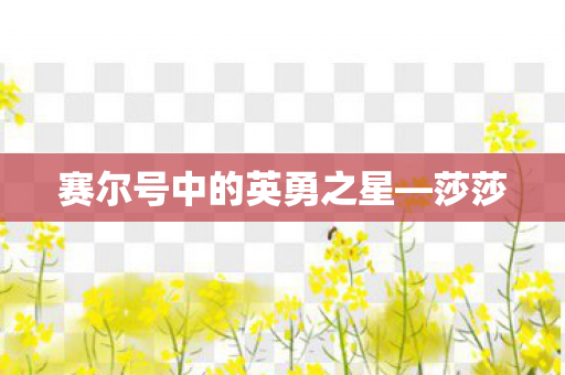 赛尔号中的英勇之星—莎莎