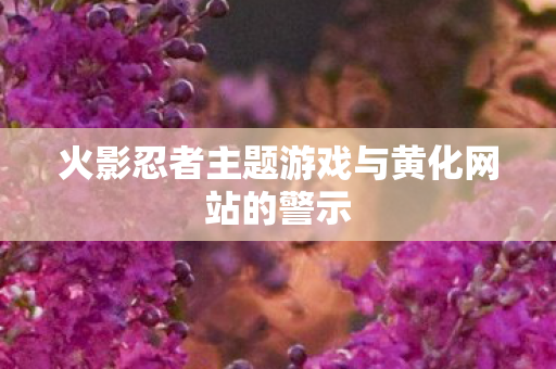 火影忍者主题游戏与黄化网站的警示