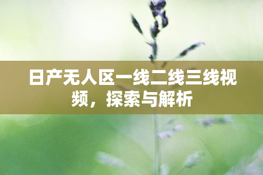 日产无人区一线二线三线视频，探索与解析