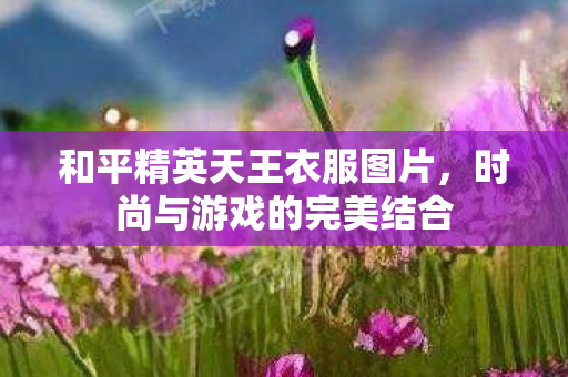 和平精英天王衣服图片，时尚与游戏的完美结合