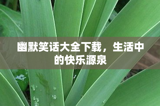 幽默笑话大全下载，生活中的快乐源泉