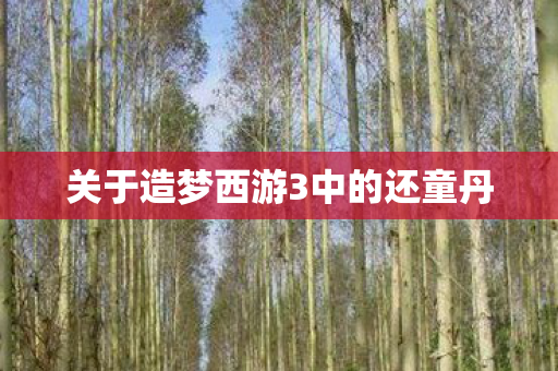 关于造梦西游3中的还童丹