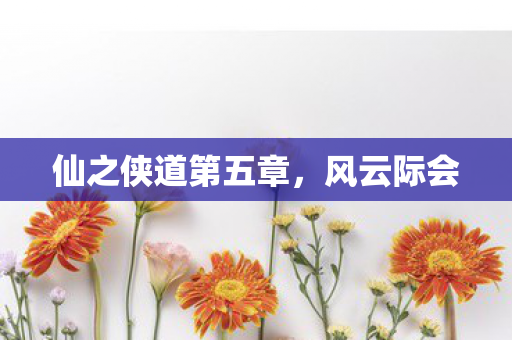 仙之侠道第五章，风云际会