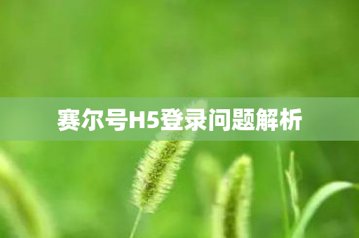 赛尔号H5登录问题解析