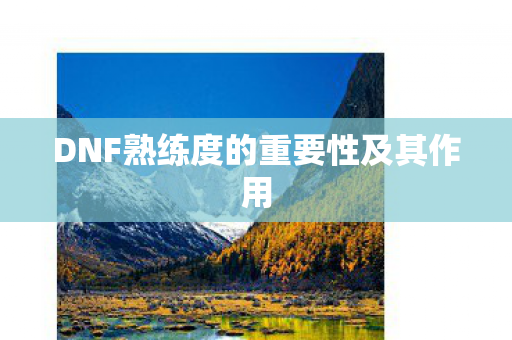 DNF熟练度的重要性及其作用