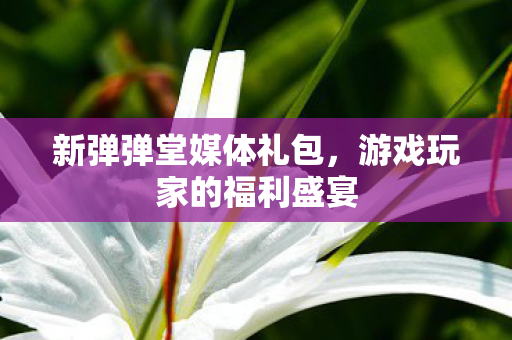 新弹弹堂媒体礼包，游戏玩家的福利盛宴