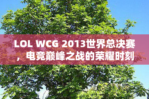 LOL WCG 2013世界总决赛，电竞巅峰之战的荣耀时刻