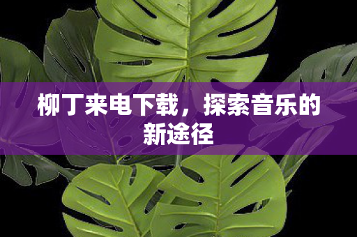 柳丁来电下载，探索音乐的新途径