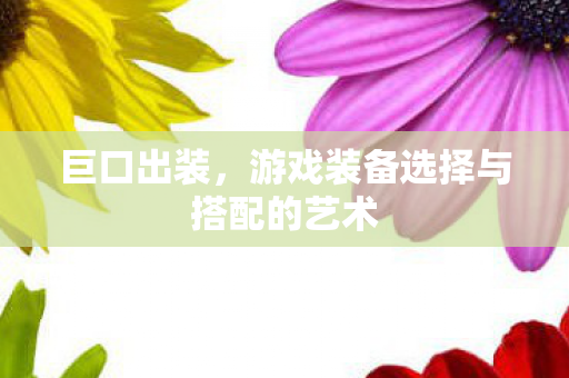 巨口出装，游戏装备选择与搭配的艺术