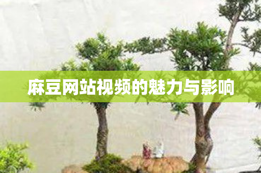 麻豆网站视频的魅力与影响