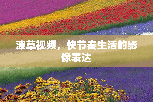 潦草视频，快节奏生活的影像表达