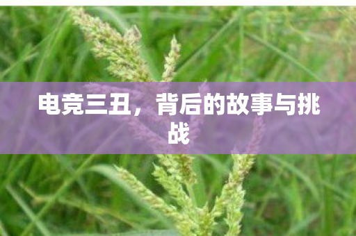 电竞三丑，背后的故事与挑战