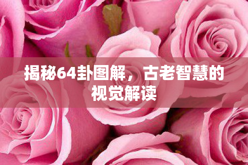 揭秘64卦图解，古老智慧的视觉解读