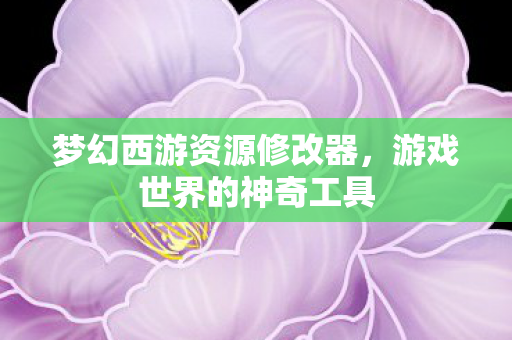 梦幻西游资源修改器，游戏世界的神奇工具
